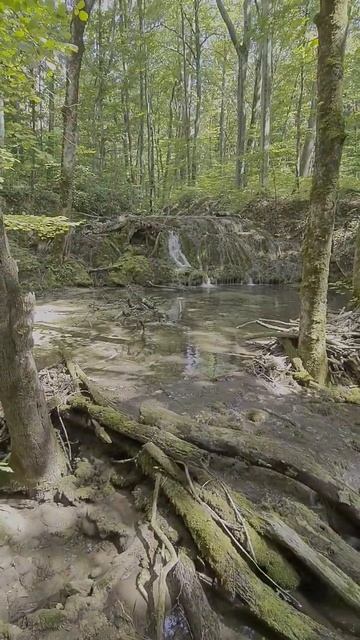 Wandering In Somewhere In Romania #waterfall #jungle #forest #summer