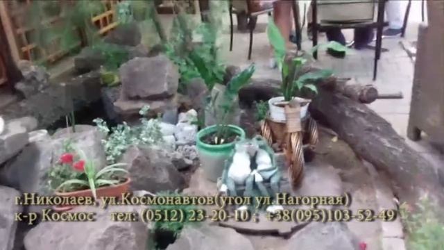 Бар Млин г Николаев смотреть онлайн