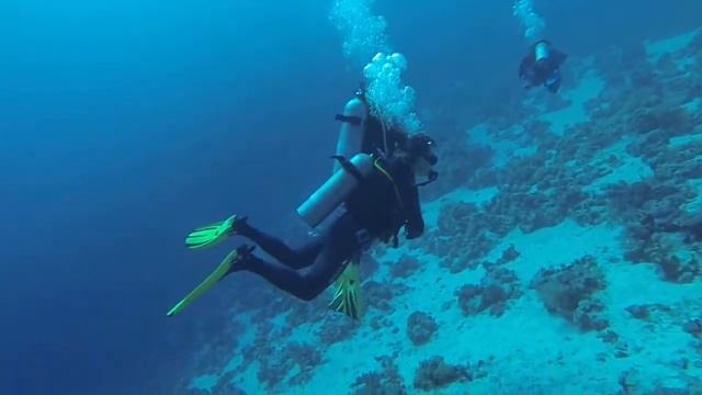 Abyss @ Sharm El-Sheikh, Shark & Yolanda Reef