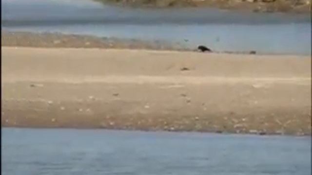 4y.wmv смотреть онлайн