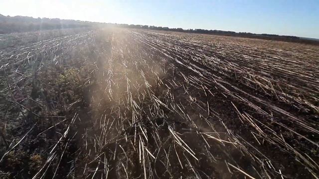 Прямий Посів Оз.пшениці .Сівалкой СЗС-2.8 смотреть онлайн