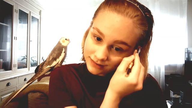 HOW TO BE A FEMBOY: a makeup tutorial to look more masculine :) смотреть онлайн