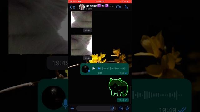 Название тик тока Вари 💗_Варя_💗 смотреть онлайн