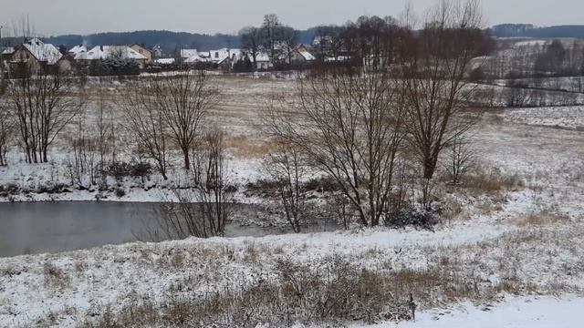 We like to be together ...🌲💖🌲 Lubimy być razem ...🌲💖🌲 私たちは一緒にいるのが好きです。 смотреть онлайн