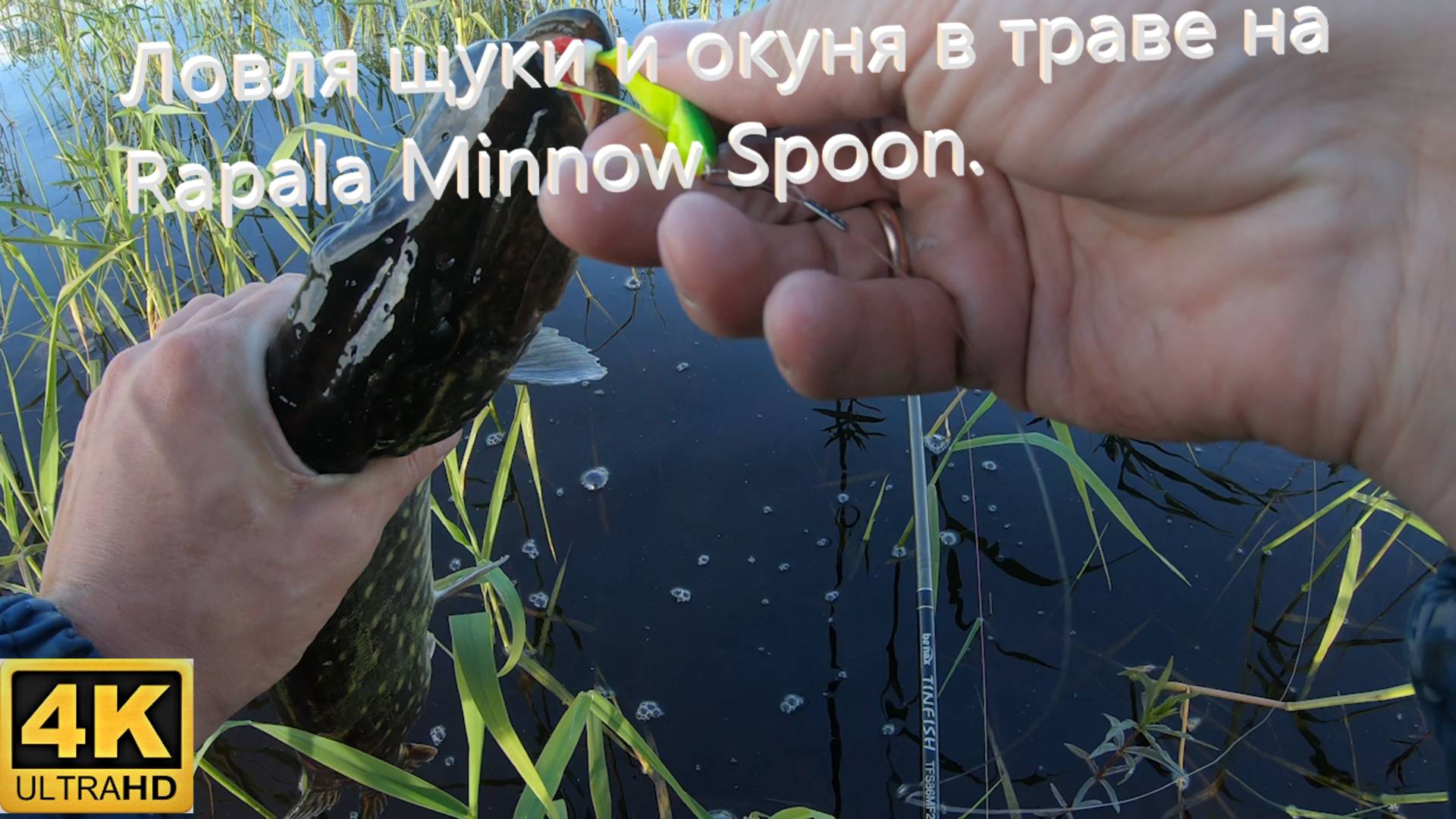 Рыбалка на спиннинг. Ловля щуки и окуня в траве. Rapala Minnow Spoon . смотреть онлайн