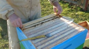 Хочу ставить вторые магазины