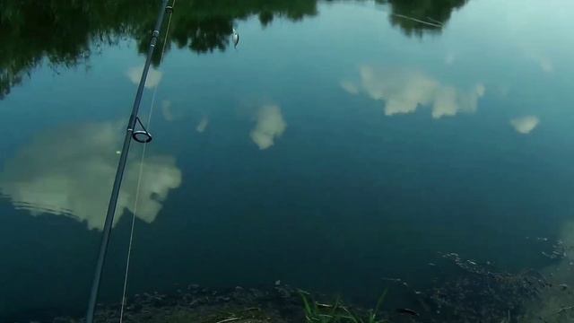 Голавля не будет. И вообще не клюёт. Просто прогулка по реке. Лето. Август 2018г. смотреть онлайн