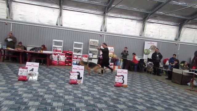 САРАТОВ САС 12.02.2017 смотреть онлайн