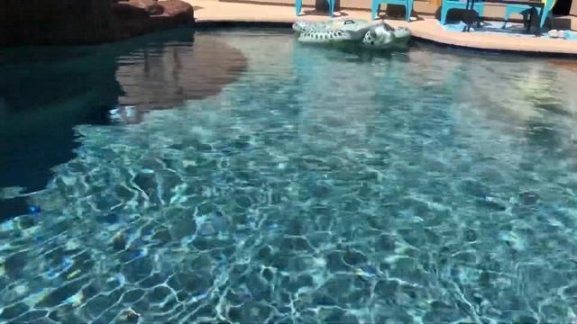 Demonstration of Aiper Seagull 1000 смотреть онлайн