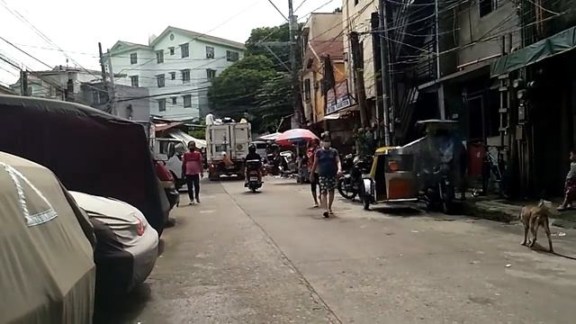 MDTS 103 tusk force смотреть онлайн