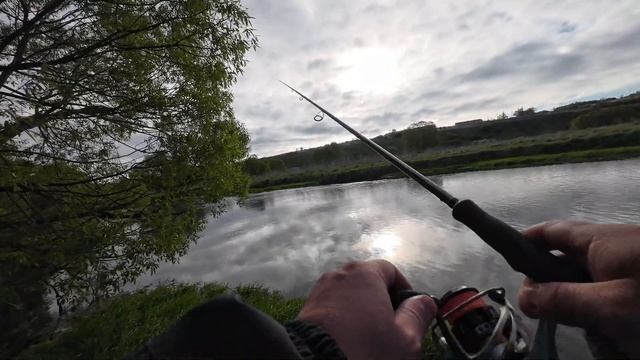 Рыбалка удалась. Воблер TsuYoki Dominator разловен. Щука и Голавль смотреть онлайн