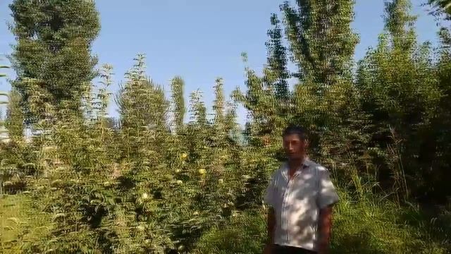 СПУ Руслан Адылов с. Жаш Ленин Базар-Курганский район смотреть онлайн