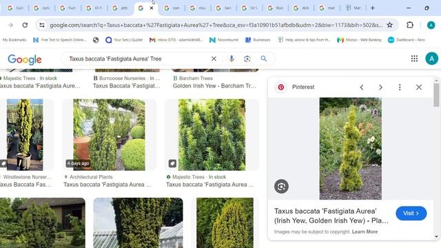 Shady North East facing bed смотреть онлайн