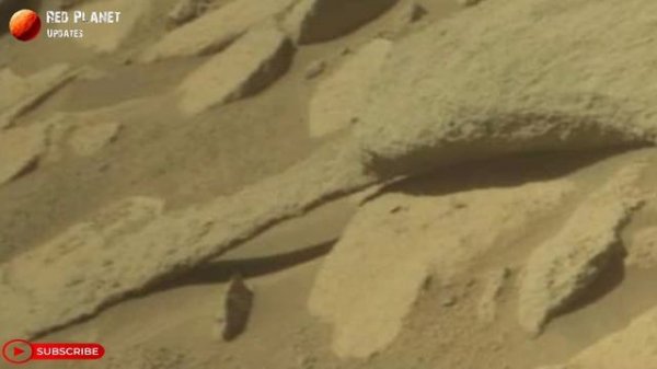 Mars 4k : Perseverance Rover Captured New 4k Video Footage Of Mars || Nasa Mars New 4k Video Live