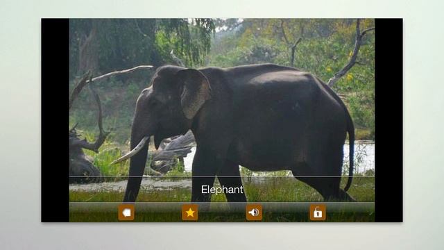 Kids Zoo - Animal Sounds and pictures. Android and iPhone app смотреть онлайн