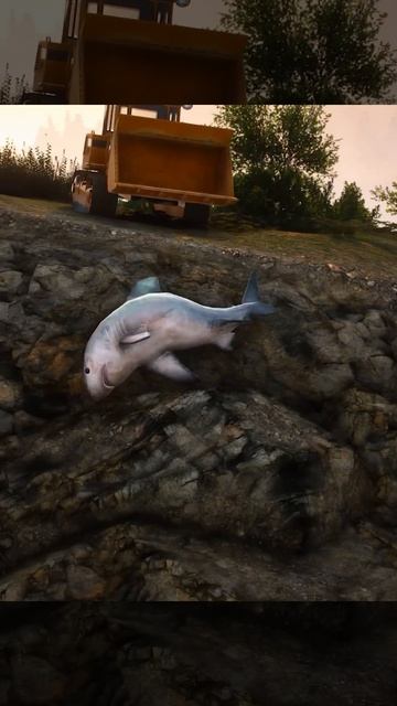 Dekhiye Kaise Shark Ki Jaan Bachai 🐟🥺 Aaj To Bach Gye Bhai😱 #shorts смотреть онлайн