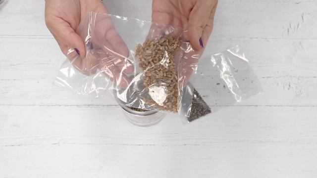 Grow N' Glow Terrarium | Creativity for Kids | Science Kit | Easy Indoor Plant