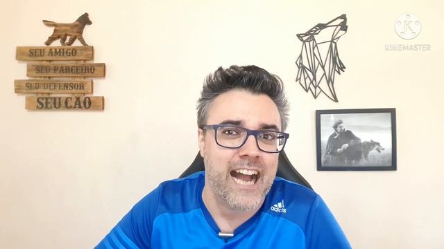 PEDIGREE RODEO - NÃO ACREDITEI! É bom? ✅Comprei! | Ração para cachorro | Cachorros | Ração cachorro смотреть онлайн