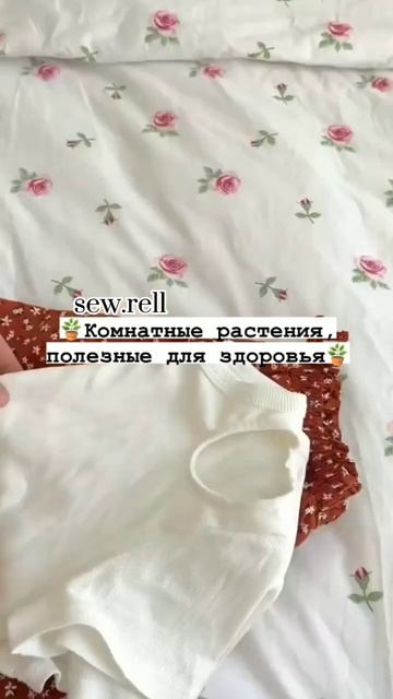 Комнатные растения, полезные для здоровья 🌿 смотреть онлайн