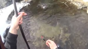 Ловим хариуса ранней весной на таежной речке