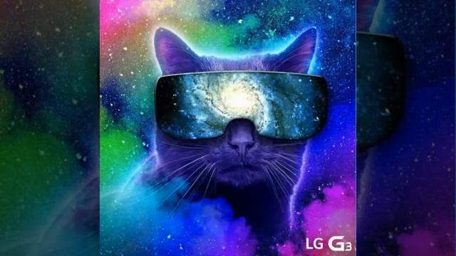 Картинки котиков