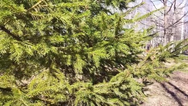 Я устала от безработного мужа, который только и делает, что орёт и угрожает разводом смотреть онлайн