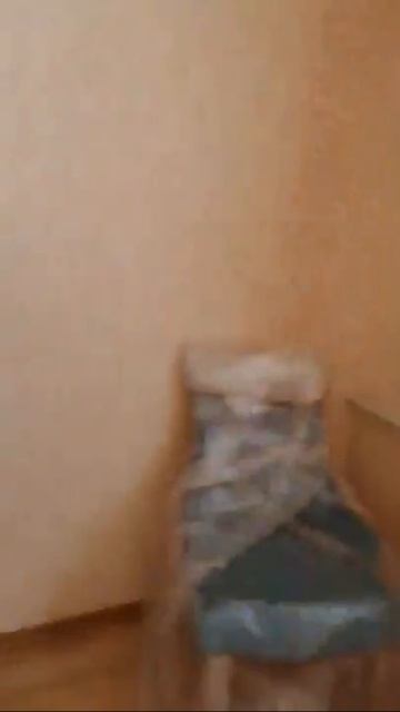 Объект 4445669 Двухкомнатная квартира Специалист Чернухина Кристина Павловна смотреть онлайн