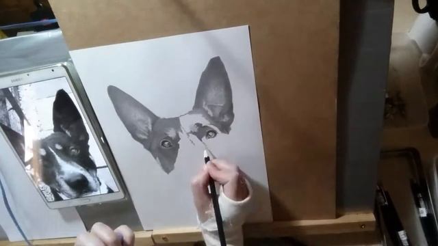 How to draw a black dog in graphite смотреть онлайн