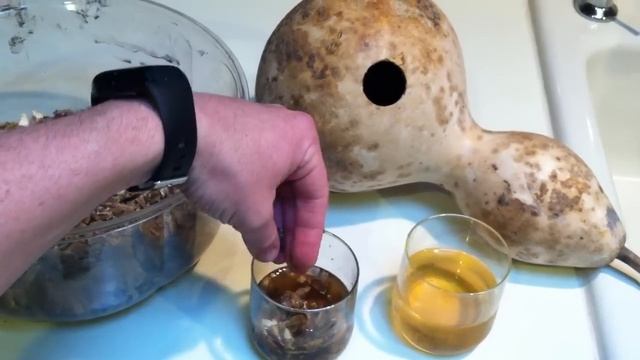 Soak Gourd Seeds Before Planting Them смотреть онлайн