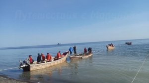 Нерест селедки / остров Сахалин / 18 апреля 2025 года