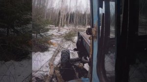 Работа в лесу | Застрял в грязи | Трактор Т40