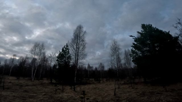 13 Апреля. Вальдшнеп пропал смотреть онлайн