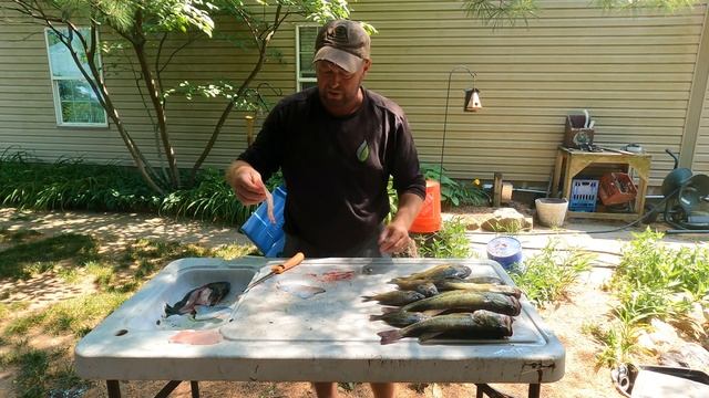 How to CLEAN a FISH... True North Style! #fishfry #fishcleaning #fishing смотреть онлайн