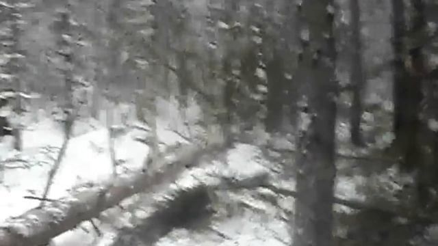 Сосна vs Т-40АМ смотреть онлайн