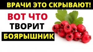 ВРАЧИ ОБ ЭТОМ МОЛЧАТ! Что творит Боярышник с организмом.
