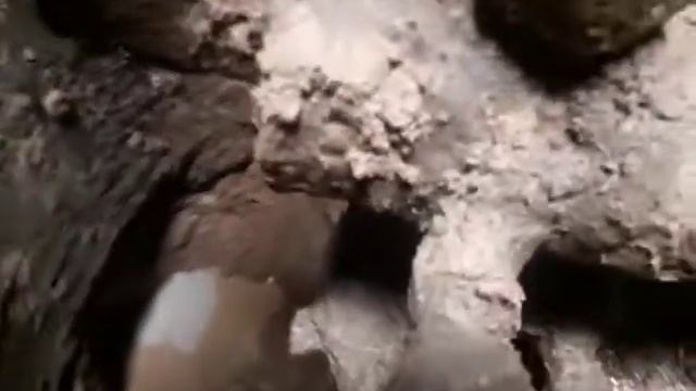 Колодец, Колодец, дай воды напится! смотреть онлайн