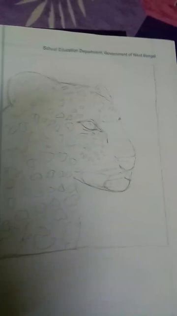 leopard drawing coming soon cello gripper cello gripper pen смотреть онлайн