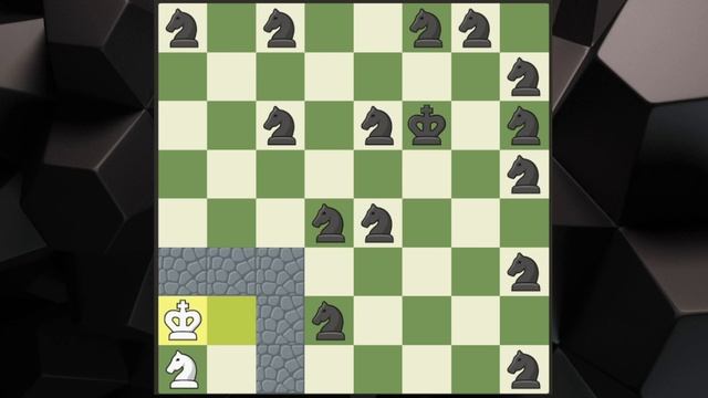 Knight betrayed his king and occupied the only saving square | Fairy Chess смотреть онлайн
