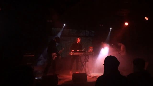 Шишкин Лес  22 02 19 Serdce