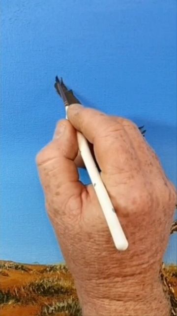 My Best Steve Irwin Voice While Painting A HUGE Wedge Tailed Eagle #shorts