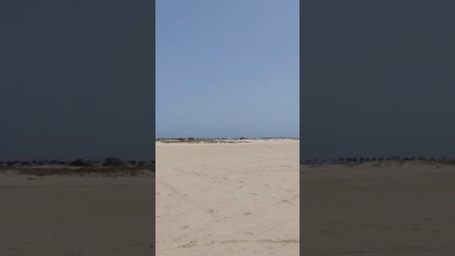 Тунис | Зарзис | Eden star | остров фламинго | Tunisia | Tunezja | Zarzis | Dżardżis смотреть онлайн