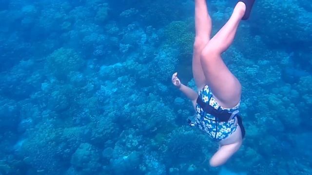Freediving on samal island смотреть онлайн