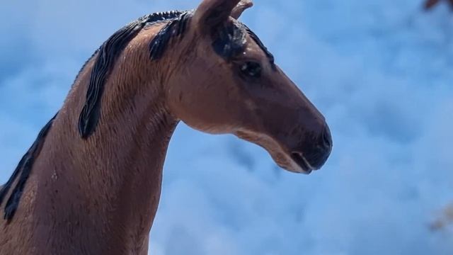 Die traurige Geschichte eines Fohlens, das nicht laufen kann💔Schleich Pferde Film смотреть онлайн