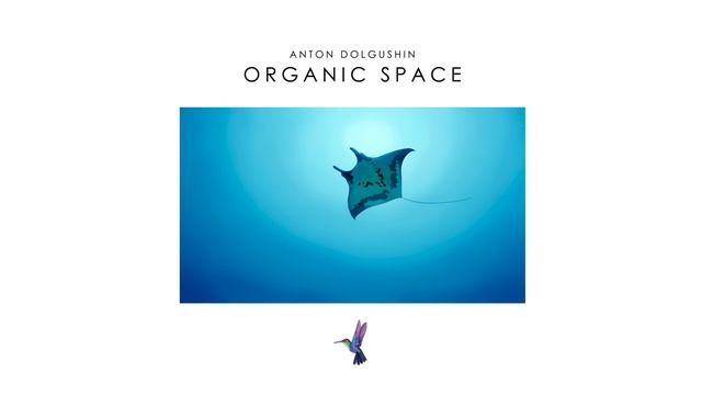 Anton Dolgushin - Organic Space