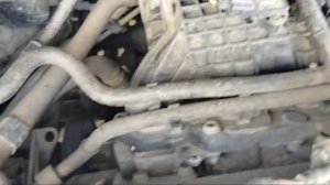 VID-20250420-WA0104.mp4