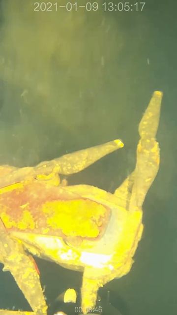 Подняли затонувший DJI Mavic Air подводным дроном Chasing M2