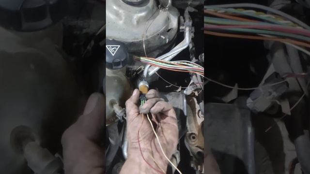 European Car Expertise