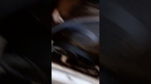 Газель крайслер не заводится