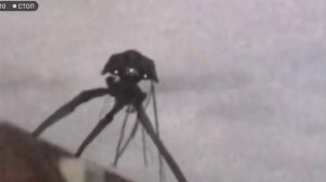 20 треножников снятыхна камеру