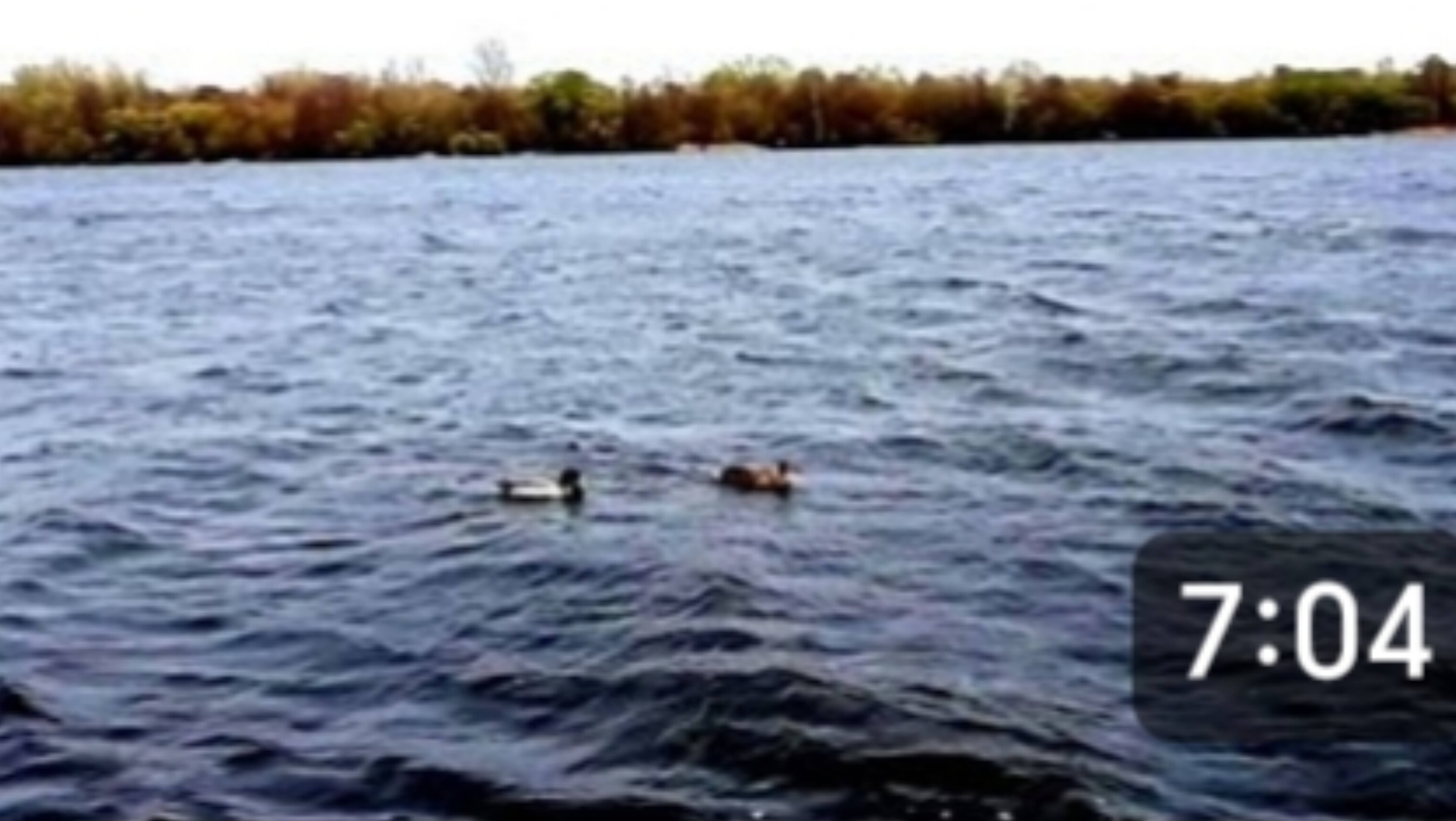 Пираты на Тамбовском море. Опять на рыбалке, опять одна. смотреть онлайн